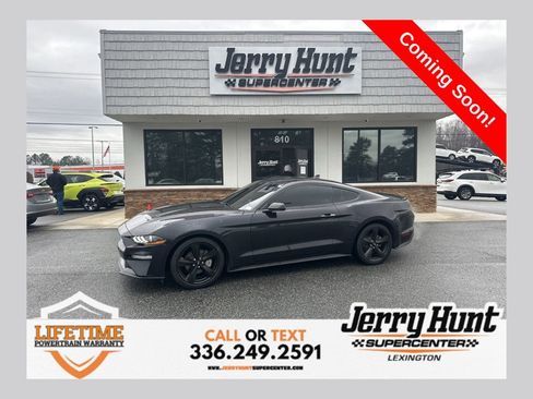 Used 2023 Ford Mustang Coupe w/ Equipment Group 101A image 1