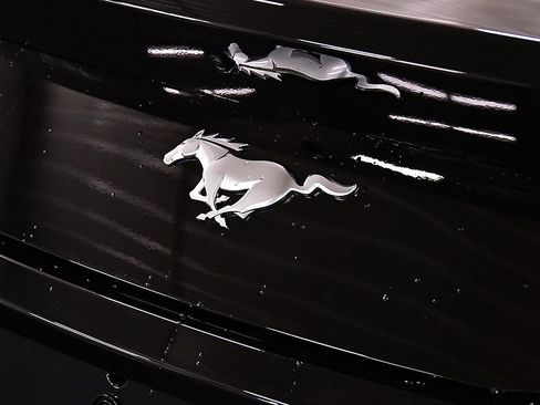 New 2026 Ford Mustang Coupe image 10