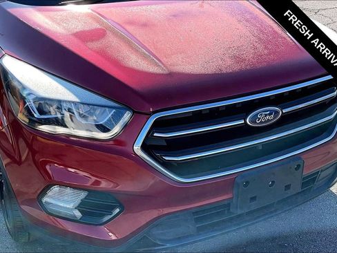 Used 2019 Ford Escape SE FWD image 31
