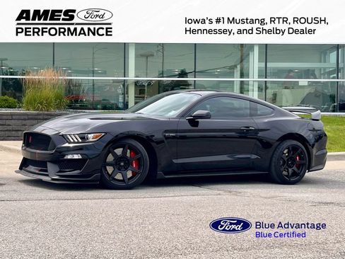 Used 2017 Ford Mustang Shelby GT350R w/ GT350R Equipment Group 920A RWD image 1