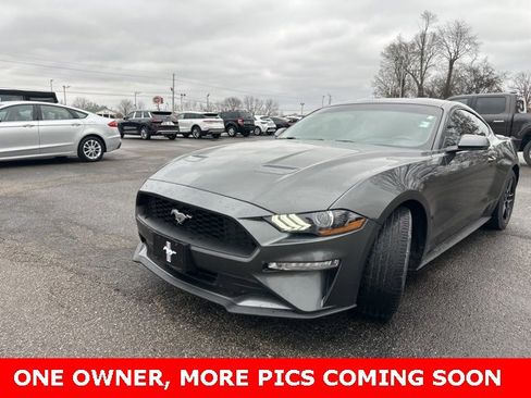 Used 2019 Ford Mustang Premium w/ Equipment Group 201A image 2