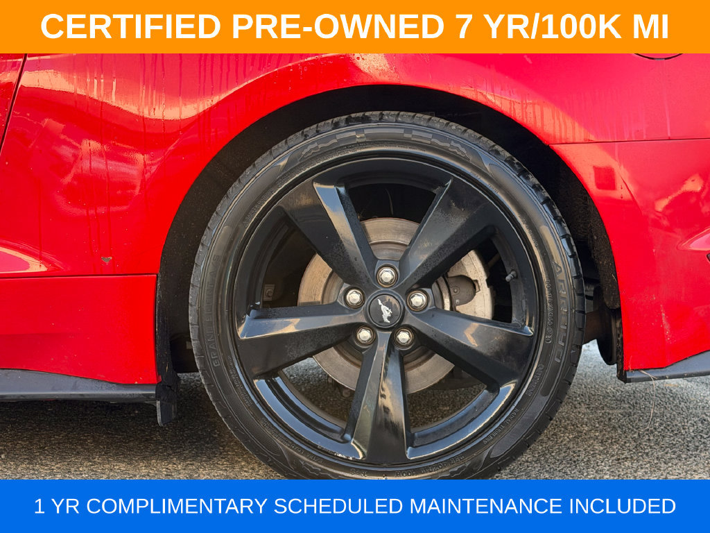 Used 2023 Ford Mustang Coupe w/ Mustang Nite Pony Package RWD image 9