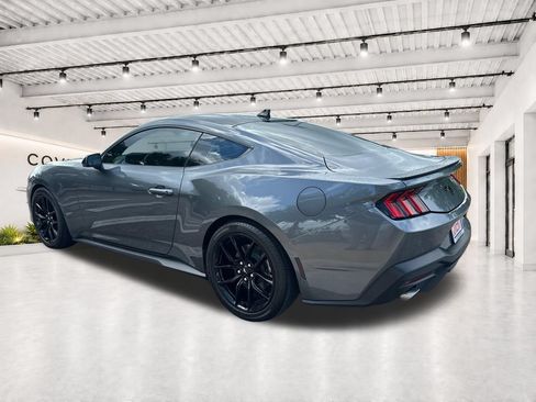Used 2024 Ford Mustang Premium w/ Mustang Nite Pony Package RWD image 9