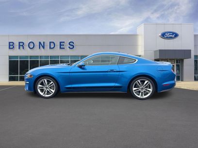 Used 2019 Ford Mustang Premium w/ Equipment Group 201A