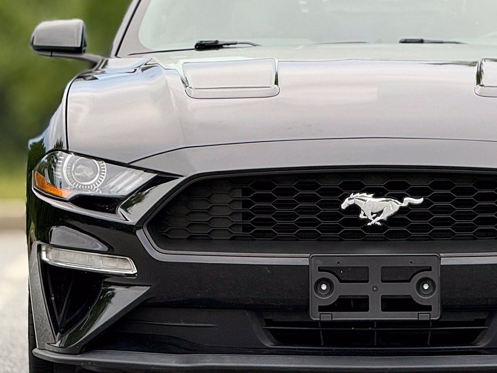 Used 2019 Ford Mustang Coupe RWD image 14