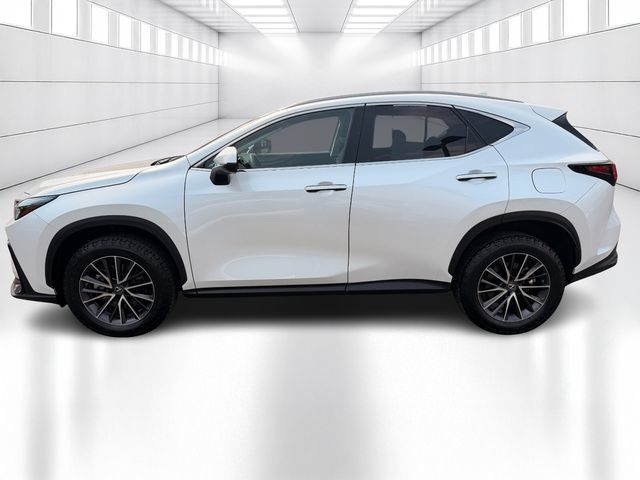 Used 2023 Lexus NX 350 AWD image 8