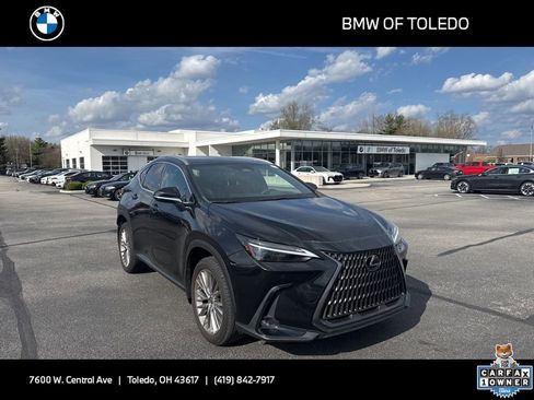 Used 2023 Lexus NX 350 AWD w/ Cold Area Package image 1