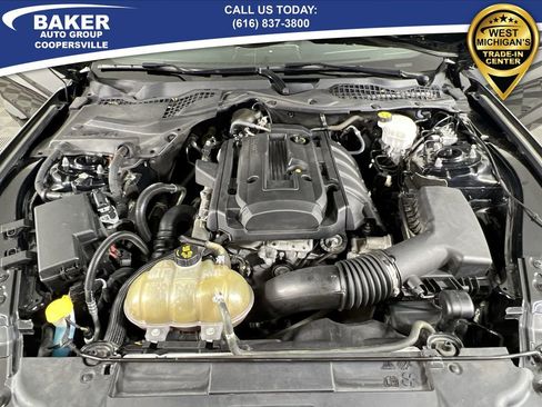 Used 2019 Ford Mustang EcoBoost w/ Equipment Group 101A image 28