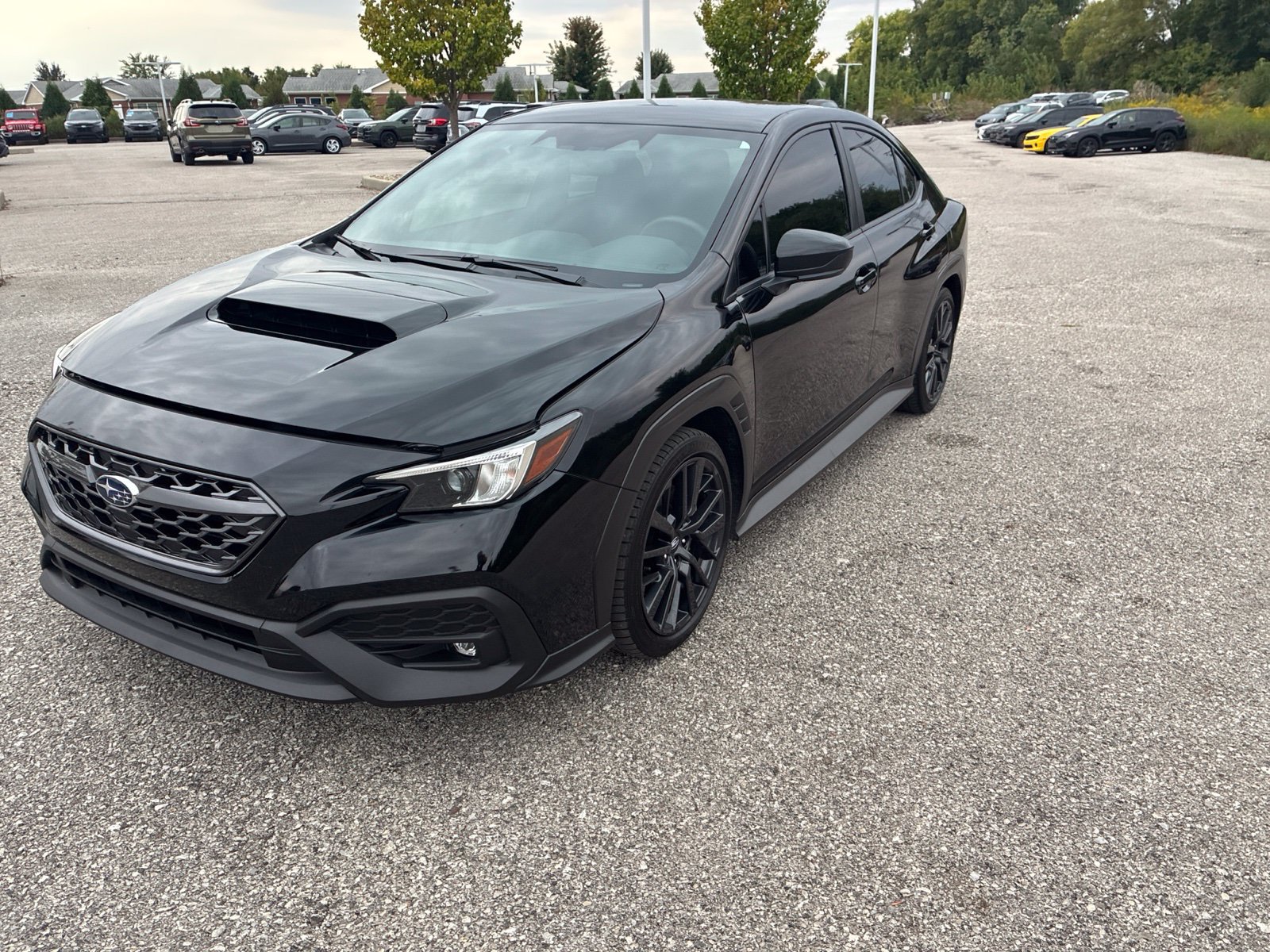 Used 2024 Subaru WRX Premium AWD/4WD image 1