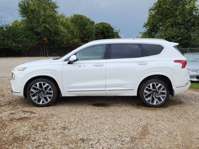Used 2023 Hyundai Santa Fe Calligraphy FWD image 2