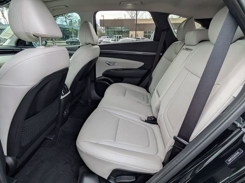 Certified 2024 Hyundai Tucson Limited image 13