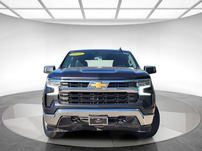 Used 2024 Chevrolet Silverado 1500 LT w/ Protection Package