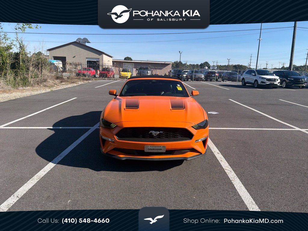Used 2021 Ford Mustang Premium w/ Equipment Group 201A RWD image 1