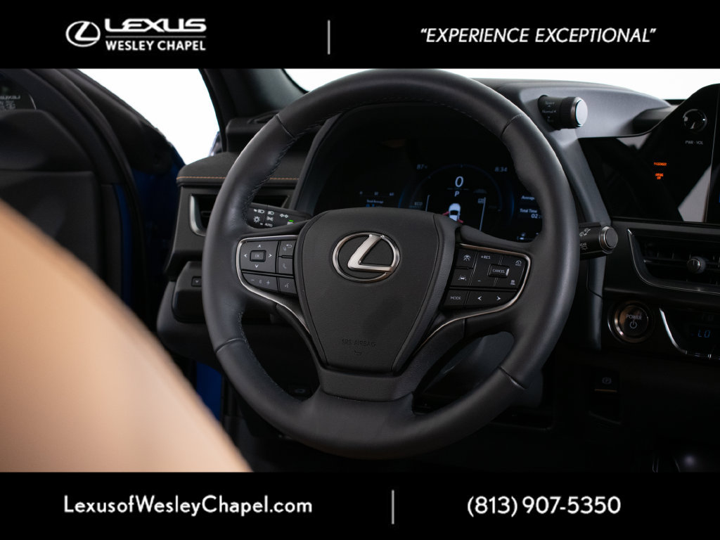 Certified 2025 Lexus UX 300h FWD w/ Cold Area Package image 18