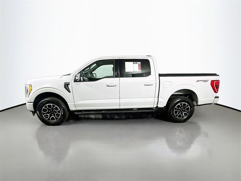 Used 2023 Ford F150 XLT w/ Equipment Group 302A High image 5