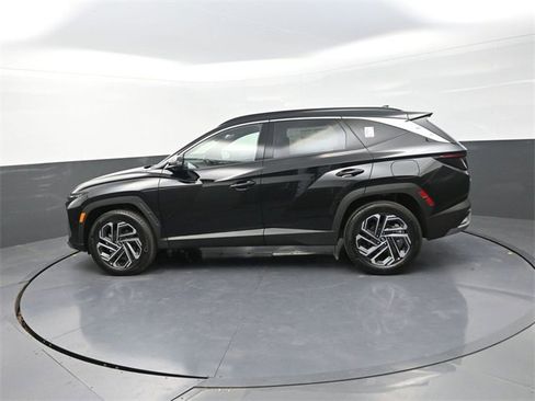 New 2026 Hyundai Tucson Limited image 5