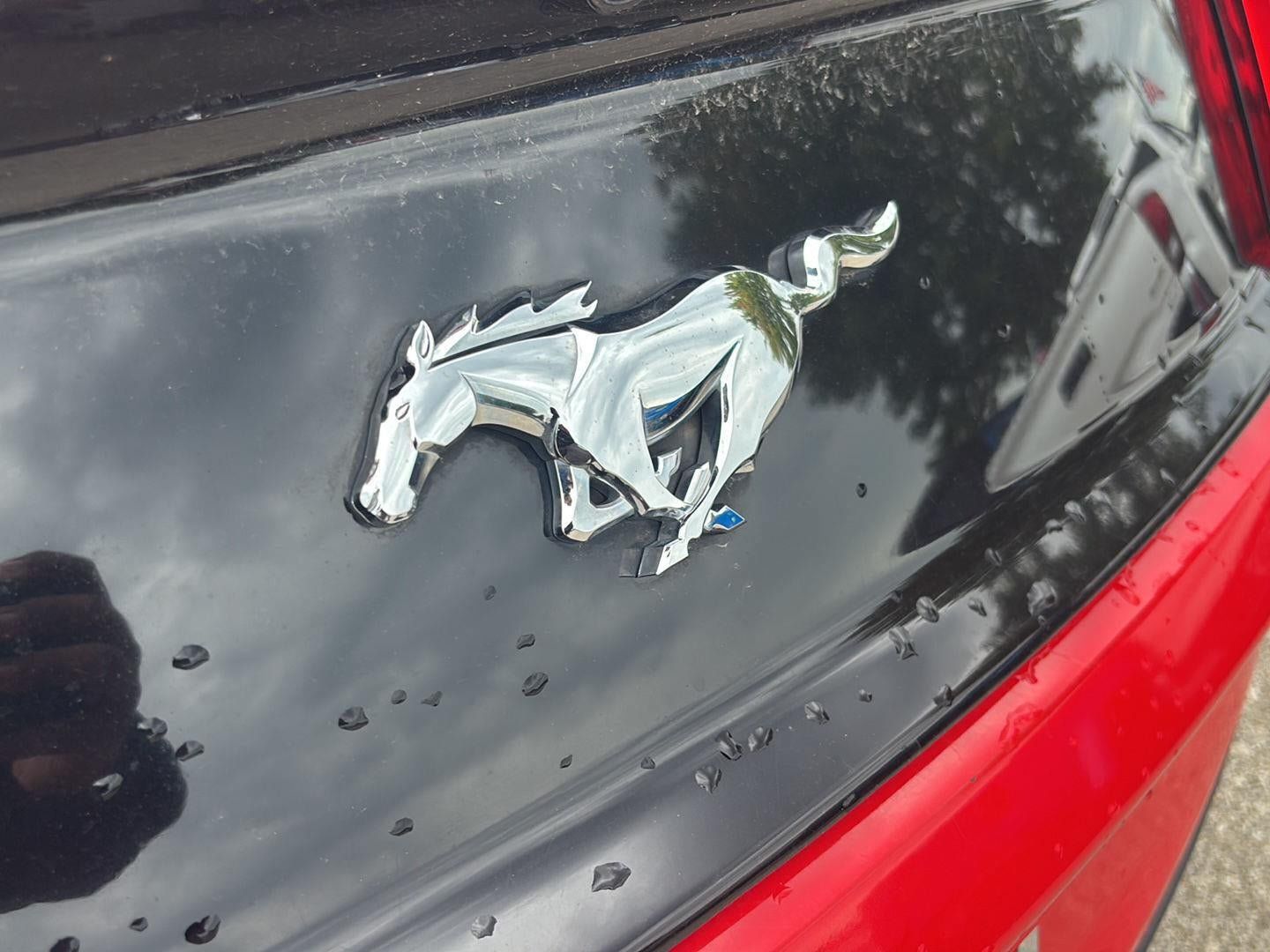 Used 2016 Ford Mustang Premium RWD image 19