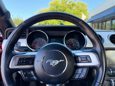 Used 2015 Ford Mustang Premium w/ Equipment Group 201A RWD image 39