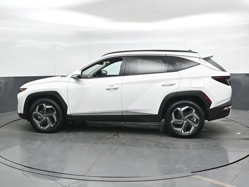 Used 2024 Hyundai Tucson Limited AWD/4WD image 8