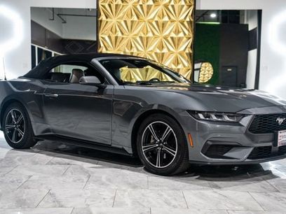 Used 2024 Ford Mustang Premium