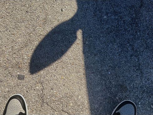 Certified 2024 Honda Accord EX image 37