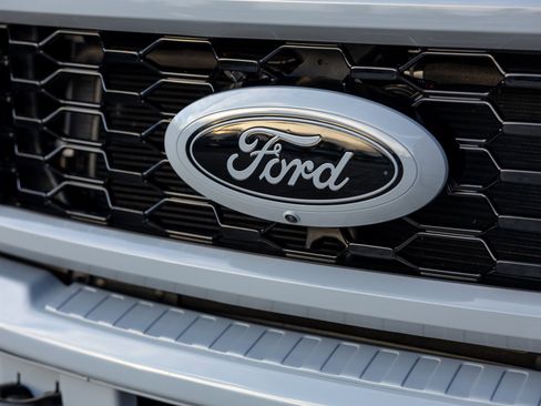 Used 2025 Ford F450 Platinum image 22