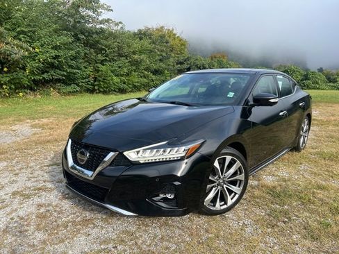 Used 2019 Nissan Maxima SL image 3