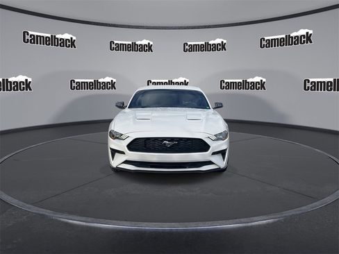 Used 2019 Ford Mustang Premium image 2