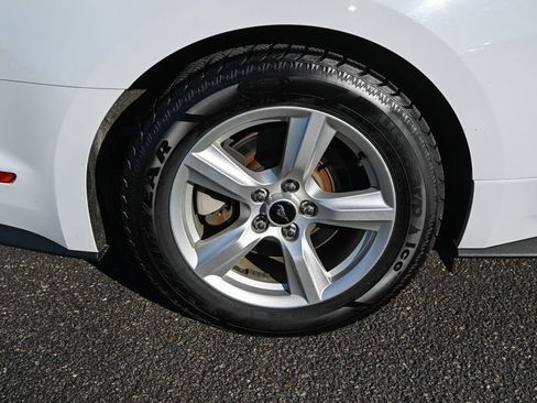 Used 2019 Ford Mustang Coupe image 14