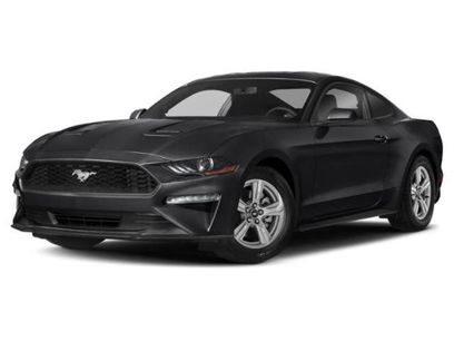 Used 2019 Ford Mustang Premium w/ Equipment Group 201A