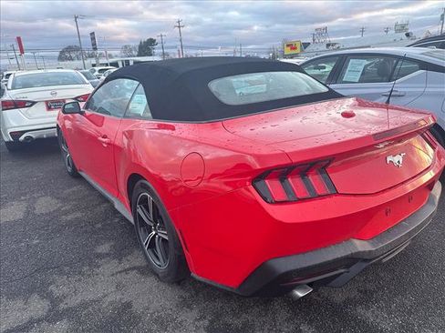 Used 2024 Ford Mustang Convertible image 4
