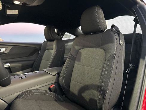 New 2026 Ford Mustang Ecoboost Fastback w/ Mustang Nite Pony Package image 21