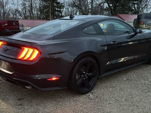 Used 2023 Ford Mustang EcoBoost w/ Equipment Group 101A image 28