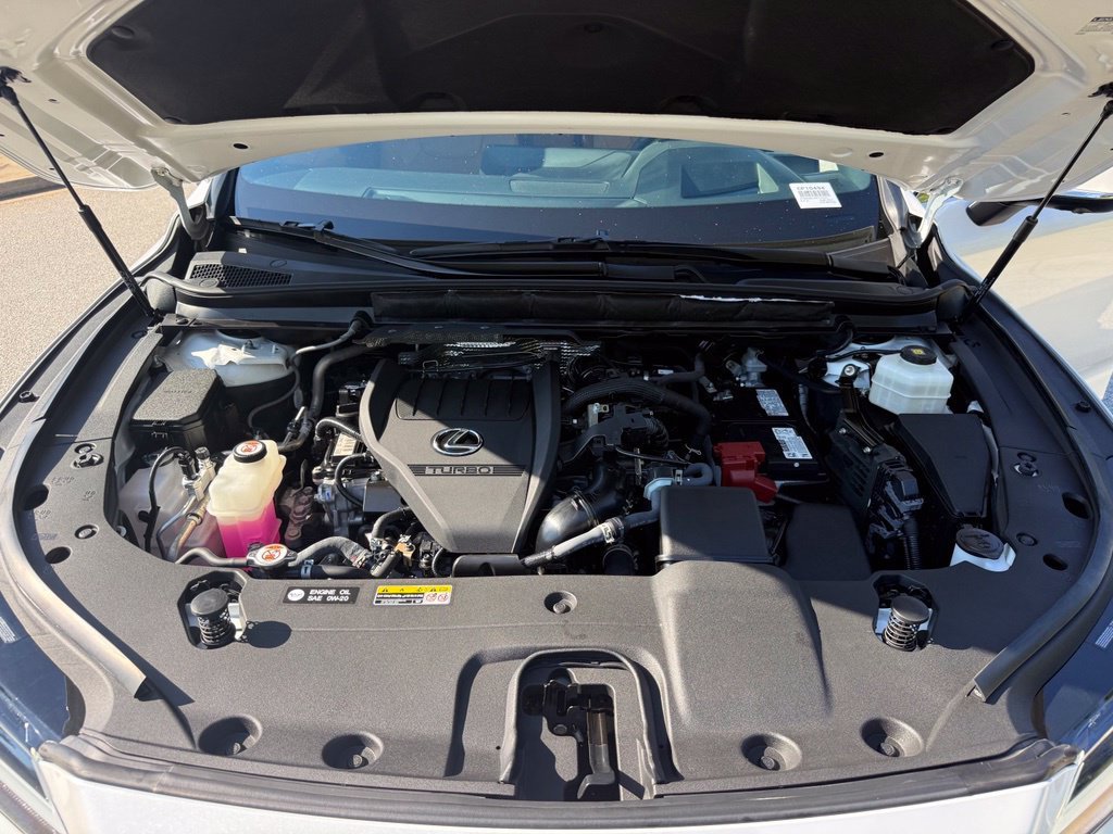 Certified 2024 Lexus RX 350 Premium Plus w/ Convenience Package FWD image 18