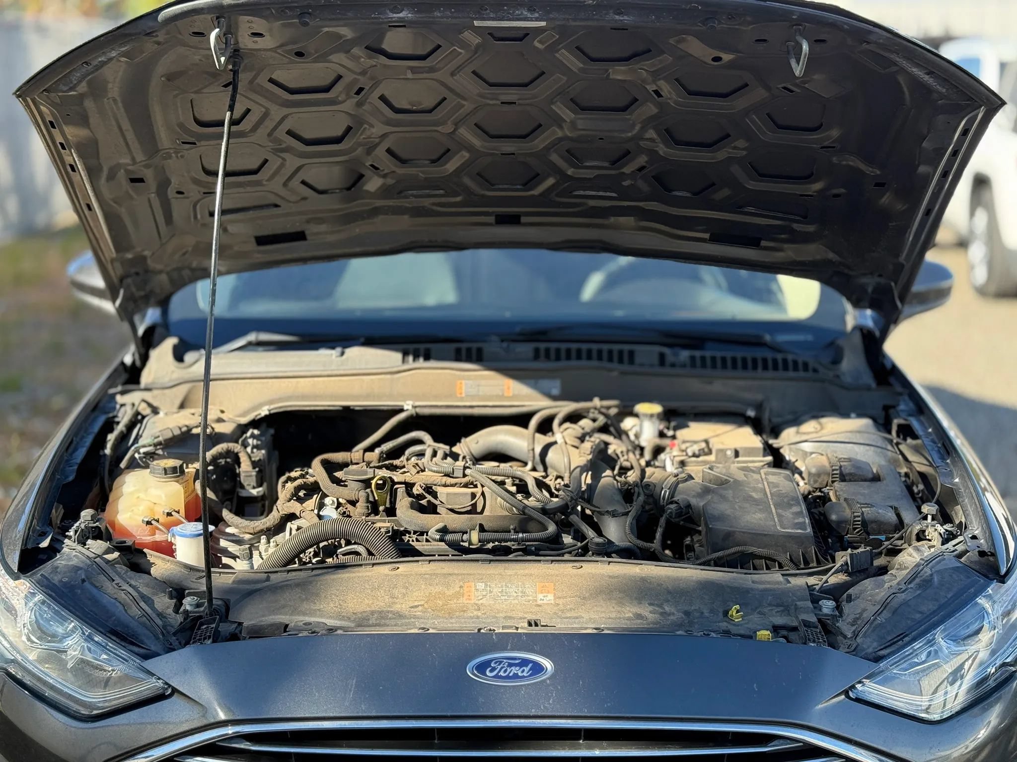 Used 2019 Ford Fusion SE FWD image 29