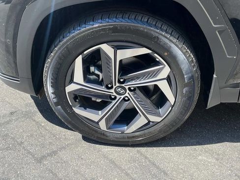 New 2024 Hyundai Tucson Limited image 5