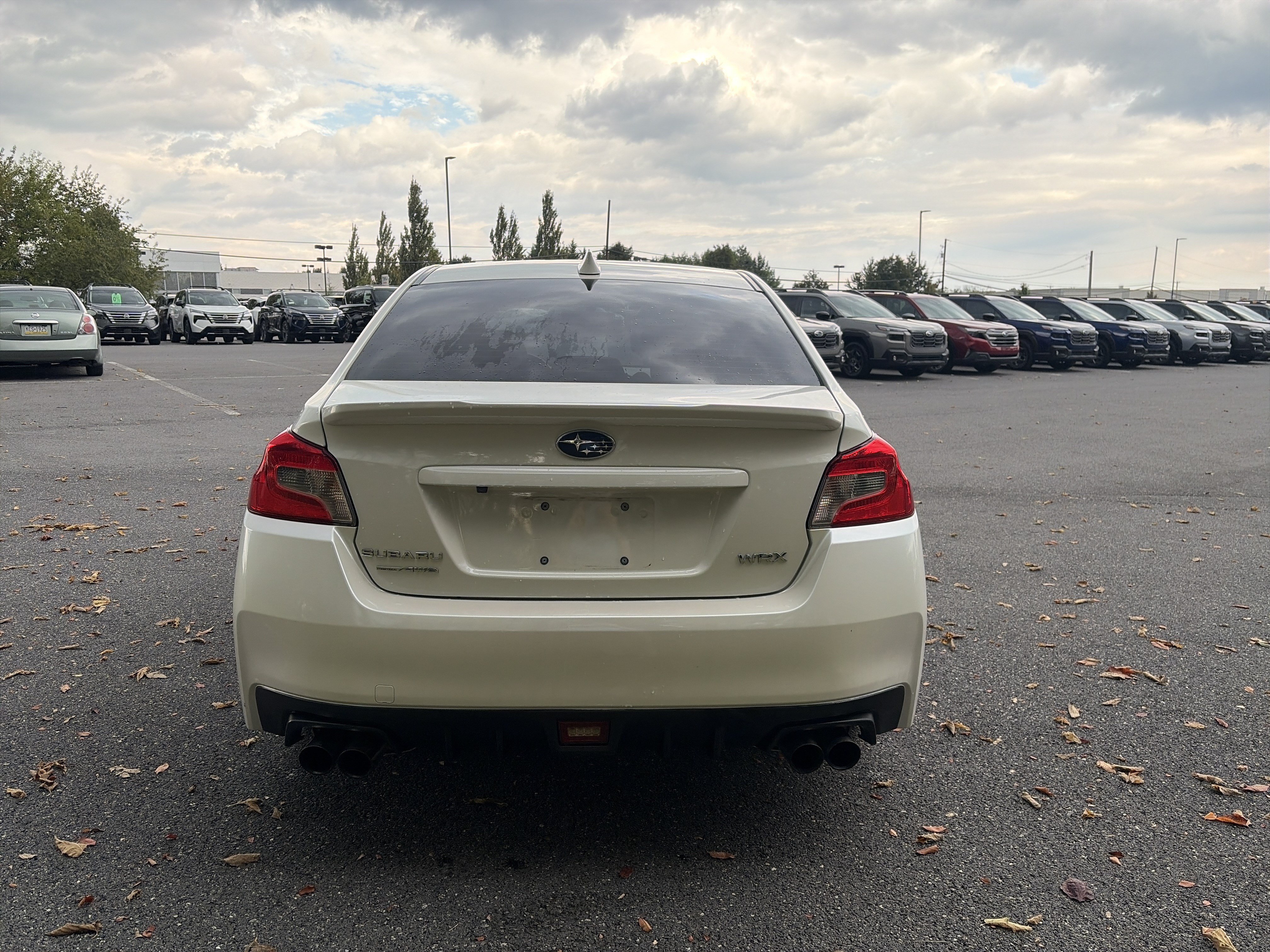 Used 2021 Subaru WRX Premium AWD/4WD image 6
