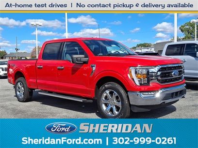 Used 2022 Ford F150 XLT w/ Equipment Group 302A High