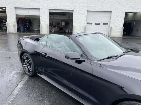 Used 2019 Ford Mustang Premium image 11