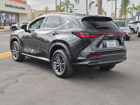 Used 2024 Lexus NX 350h AWD image 7