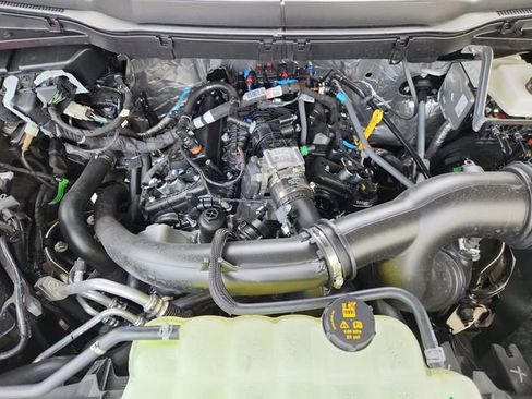 New 2025 Ford F150 XLT w/ Equipment Group 303A High image 20