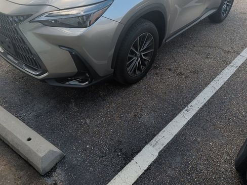 Used 2024 Lexus NX 250 FWD image 5