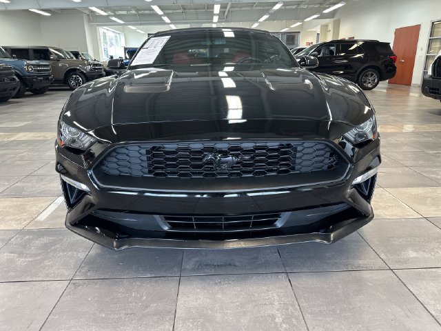 Used 2018 Ford Mustang Premium w/ Equipment Group 201A RWD image 18