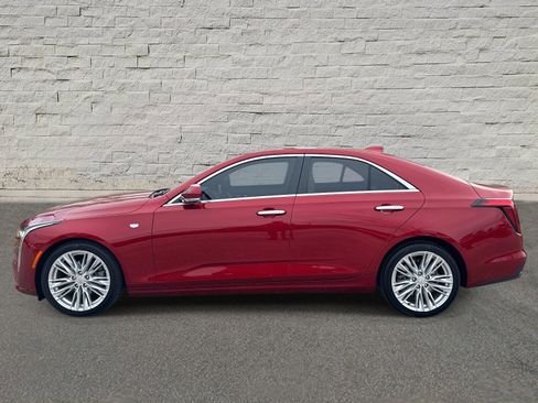 Used 2021 Cadillac CT4 Premium Luxury image 2