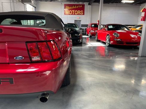 Used 2003 Ford Mustang Cobra RWD image 12