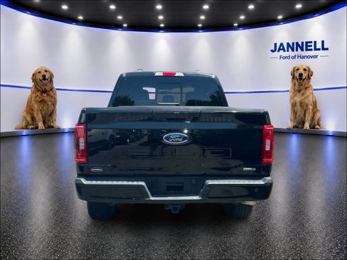 Used 2023 Ford F150 XLT w/ Equipment Group 302A High AWD/4WD image 7