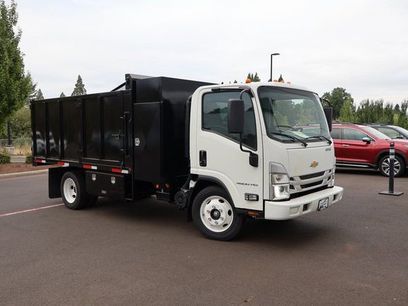 New 2025 Chevrolet Low Cab Forward