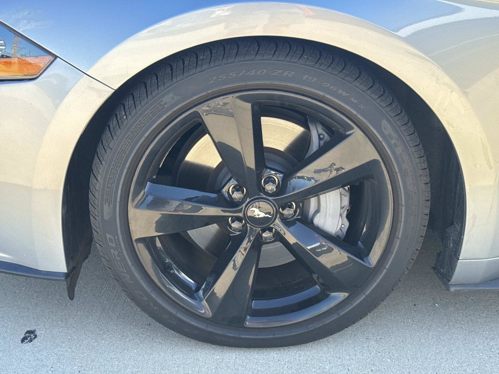 Used 2023 Ford Mustang GT w/ Equipment Group 301A RWD image 4