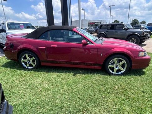 Used 2004 Ford Mustang Cobra image 5