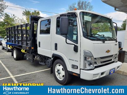 New 2024 Chevrolet Low Cab Forward 5500XD